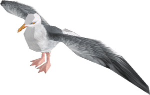 Zoo Tycoon Wiki - Zoo Tycoon 2 Seagull, HD Png Download PNG image with transparent background