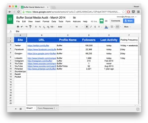 Social Media Audit Spreadsheet March2014 PNG Image