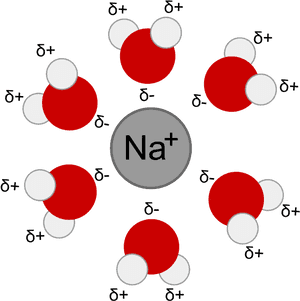 Image - Ion Dipole Interactions, HD Png Download PNG image with transparent background