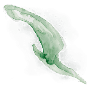 Soft Green Watercolor Splash PNG 16 PNG image with transparent background