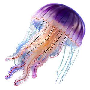 Soft Jellyfish Png 38 PNG Image