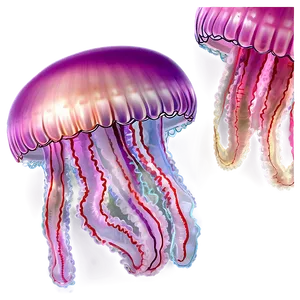 Soft Jellyfish Png Rxh97 PNG Image