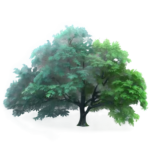 Soft Misty Forest Png Kfk PNG Image