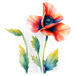 Soft Poppy Watercolor PNG siv62 PNG image with transparent background