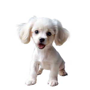 Soft Puppy Fur Png 93 PNG Image