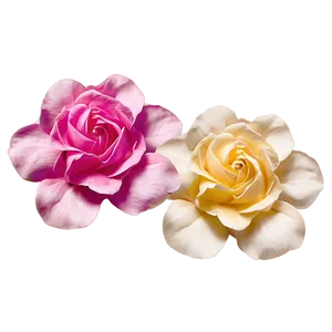 Soft Rose Petals Png 36 PNG Image