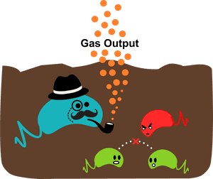 Soil Will Help Researchers Observe Gene Expression - Soil Microorganisms In Animation, HD Png Download PNG with transparent background
