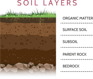 Layers Of Soil Clipart, HD Png Download PNG with transparent background
