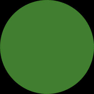 Solid Green Circle Graphic PNG