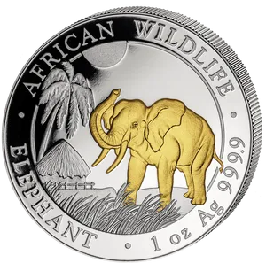 Somali Elephant Silver Coin2023 PNG Image