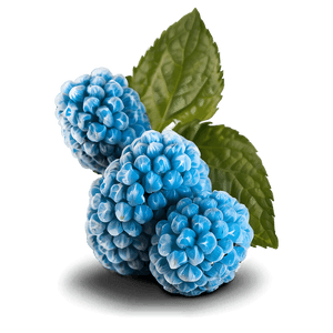 Sour Blue Raspberry PNG qea PNG