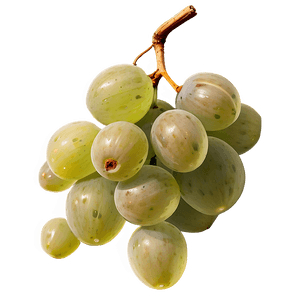 Sour Grape Cluster PNG 45 PNG