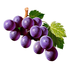 Sour Grape Cluster PNG ccr PNG