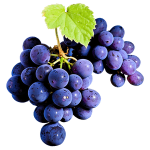 Sour Grape Cluster PNG ddw90 PNG