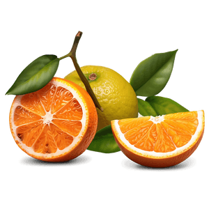 Sour Orange Fruit PNG pfs PNG