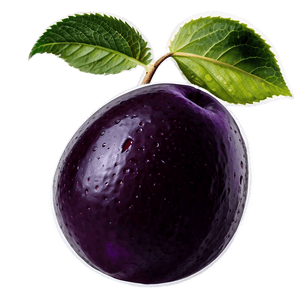 Sour Plum Image PNG 06252024 PNG