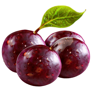 Sour Plum Image PNG 46 PNG