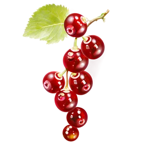 Sour Red Currant Png Arn4 PNG Image