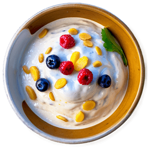 Sour Yogurt Bowl PNG 06252024 PNG