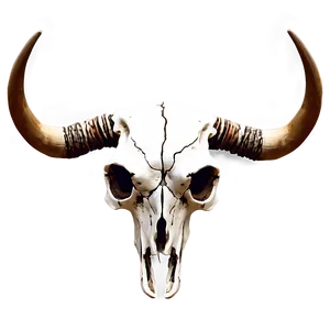 Southwestern Longhorn Skull Art Png Ivf28 PNG Image