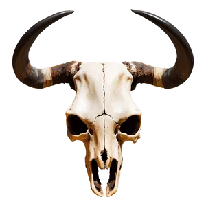 Southwestern Longhorn Skull Art Png Mbf19 PNG Image