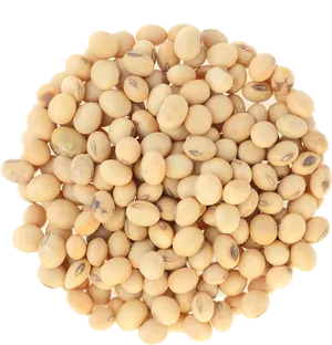 Soybean Cluster Isolated Background PNG Image