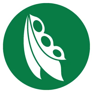 Soybean Symbol Graphic PNG Image