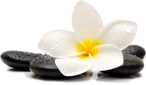 Png Massage, Transparent Png PNG image with transparent background