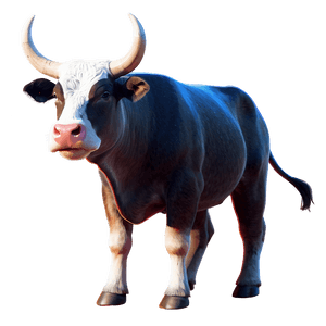 Spanish Bull PNG cww56 PNG