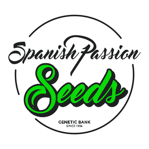 Spanish Passion Seeds Sudaderas, HD Png Download PNG image with transparent background
