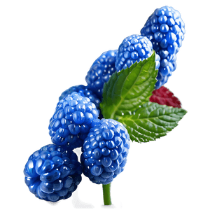 Sparkling Blue Raspberry PNG 53 PNG