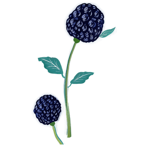 Sparkling Blue Raspberry PNG hqo63 PNG