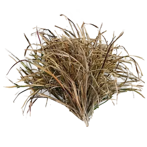 Sparse Dead Grass Png Jvi PNG Image