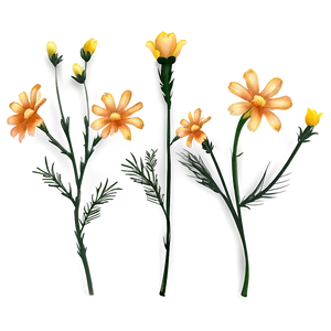 Sparse Floral Drawing Png 06202024 PNG Image