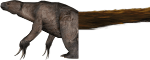 Speculative Evolution Wiki - Speculative Evolution Sloths, HD Png Download PNG image with transparent background