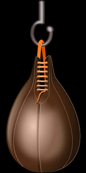 Speed Bag Boxing Equipment PNG image with transparent background