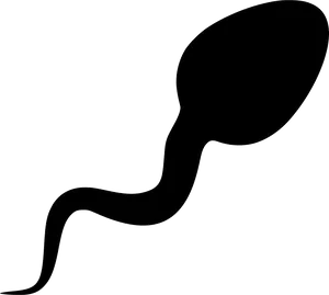 Sperm Cell Silhouette PNG Image