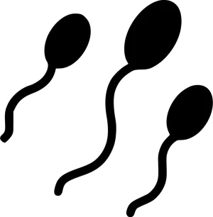 Sperm Cells Silhouette Graphic PNG Image