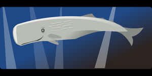 Sperm Whale Illustration PNG with transparent background
