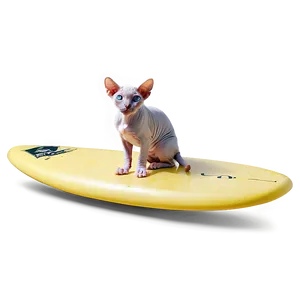 Sphynx Cat Surfing Summer Vibes Png 61 PNG Image