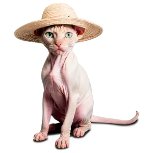 Sphynx Cat With Sun Hat Png 23 PNG Image