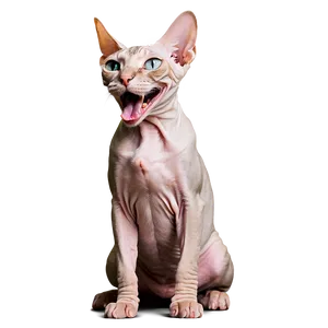 Sphynx Cat Yawning Expression Png 41 PNG Image