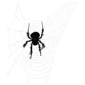 Spider And Cobweb Png 06132024 PNG Image