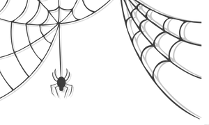 Spider Descending From Web PNG Image