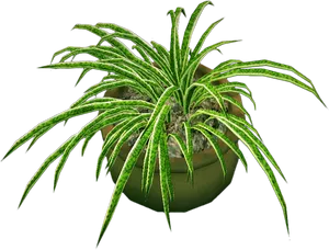 Spider Plantin Pot PNG Image