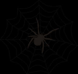 Spider Silhouetteon Web PNG image with transparent background