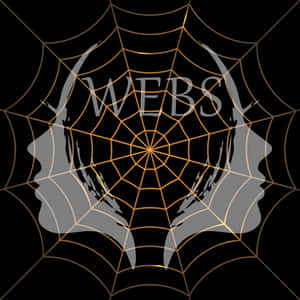 Spider Web Artistic Design PNG image with transparent background