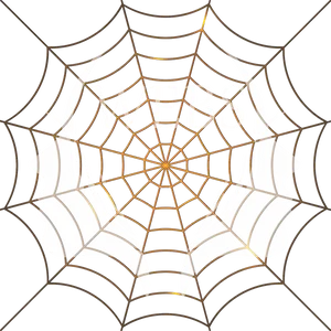 Spider Web Artistic Design PNG Image