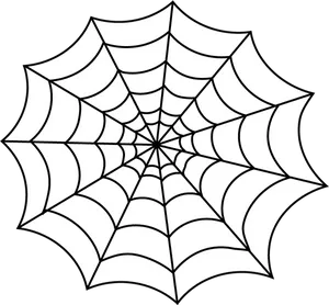 Spider Web Graphic Design PNG Image