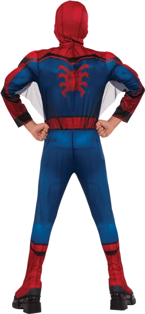 Spiderman Costume Back Pose PNG Image